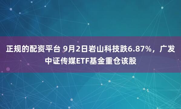 正规的配资平台 9月2日岩山科技跌6.87%，广发中证传媒ETF基金重仓该股