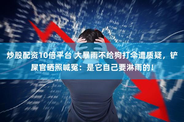 炒股配资10倍平台 大暴雨不给狗打伞遭质疑,铲屎官晒照喊冤:是它自己要淋雨的!